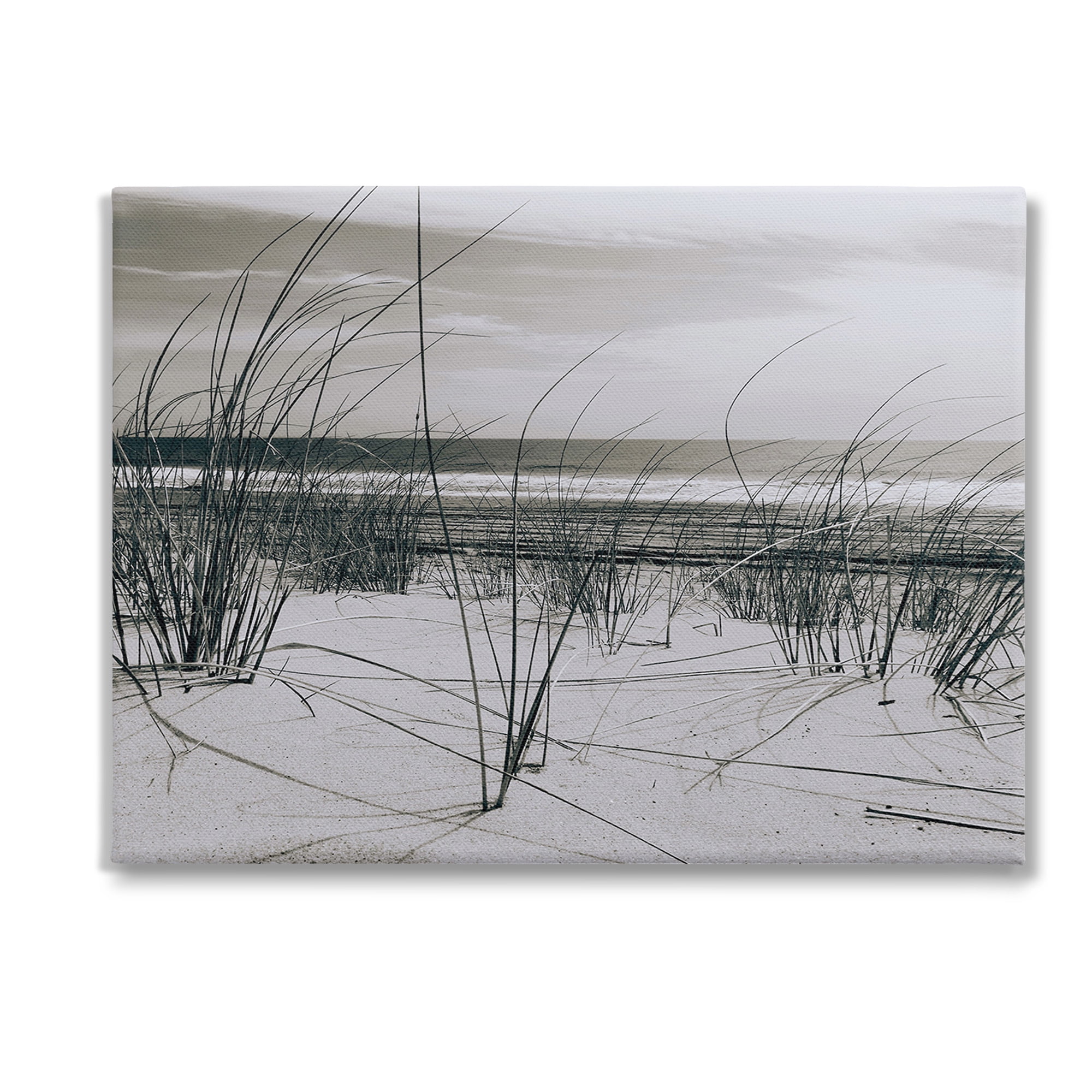 Stupell Industries Subtle Beach Reeds Landscape Photography Gallery Wrapped Canvas Art Print Wall Art, 48 x 36