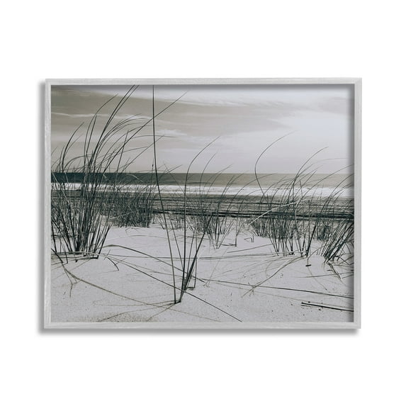 Stupell Industries Subtle Beach Reeds Landscape Photography Gray Framed Art Print Wall Art, 30 x 24