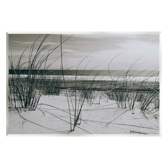 Stupell Industries Subtle Beach Reeds Landscape Photography Unframed Art Print Wall Art, 15 x 10