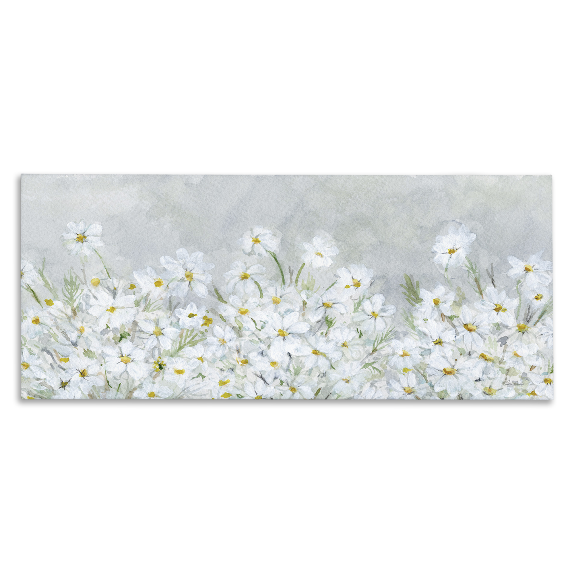 Stupell Industries Subtle Brushed Daisies Botanical & Floral Painting Gallery Wrapped Canvas Art Print Wall Art, 30 x 13