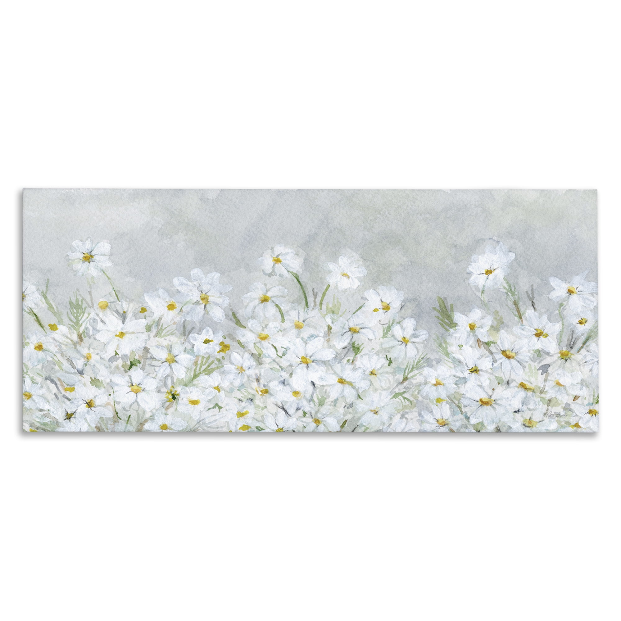 Stupell Industries Subtle Brushed Daisies Botanical & Floral Painting Gallery Wrapped Canvas Art Print Wall Art, 40 x 17