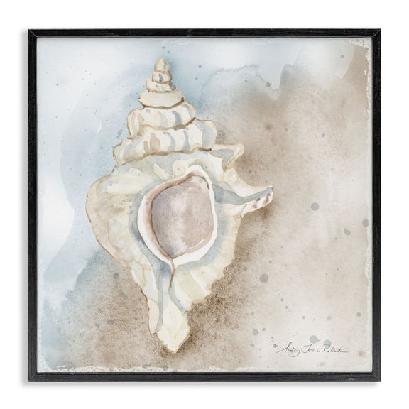 Stupell Industries Subtle Conch on Shore Black Framed Giclee Art design by Audrey Jeanne Roberts, 12 x 12