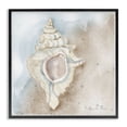 thumbnail image 1 of Stupell Industries Subtle Conch on Shore Black Framed Giclee Art design by Audrey Jeanne Roberts, 17 x 17, 1 of 8