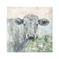 thumbnail image 1 of Stupell Industries Subtle Dappled Cow Portrait Animals & Insects Painting Gallery Wrapped Canvas Art Print Wall Art, 24 x 24, 1 of 8
