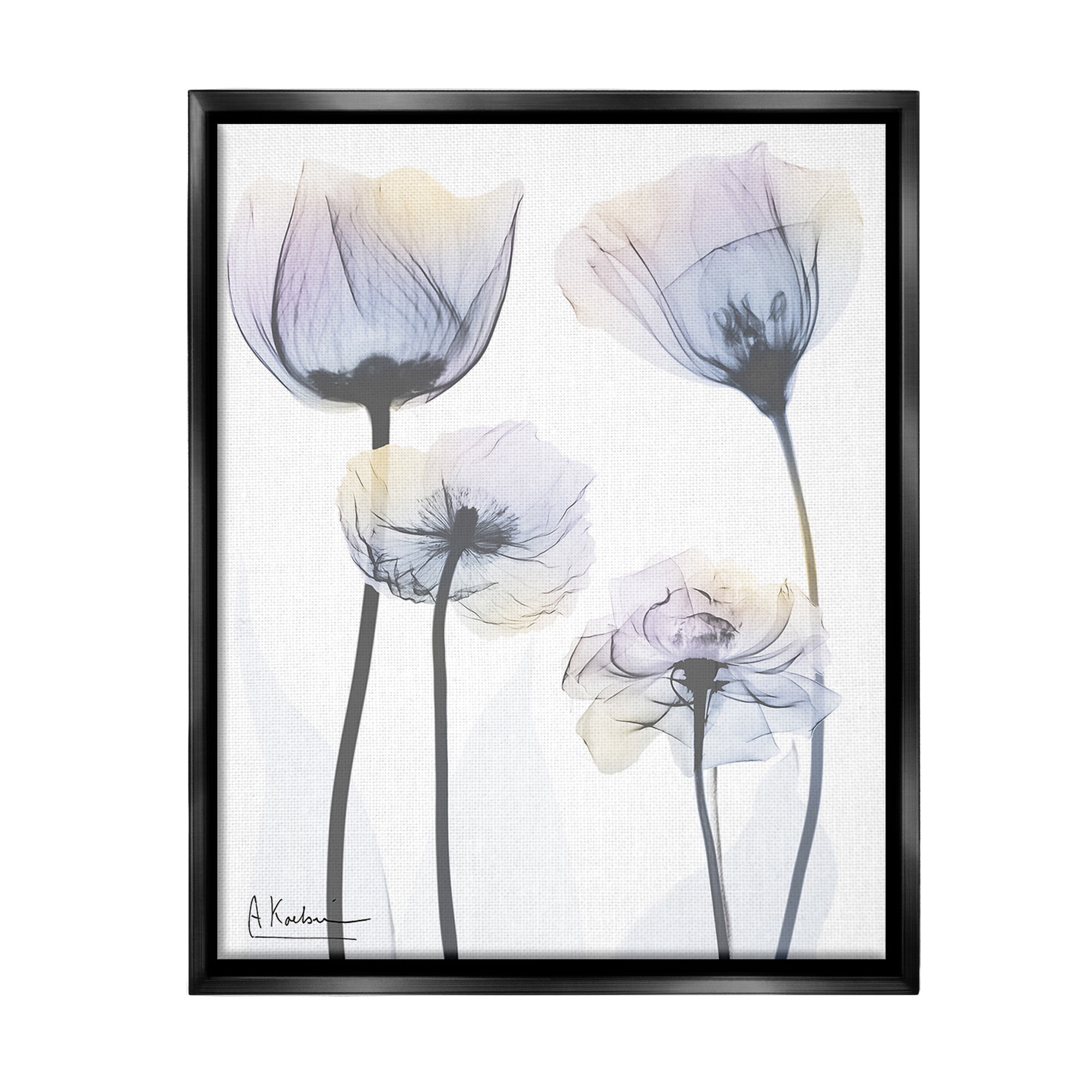 Stupell Industries Subtle Flower Shapes Botanical & Floral Photography Black Floater Framed Canvas Art Print Wall Art, 25 x 31