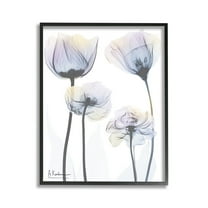 Stupell Industries Subtle Flower Shapes Botanical & Floral Photography Black Framed Art Print Wall Art, 11 x 14