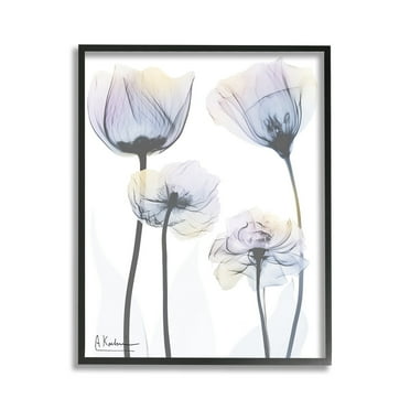 Stupell Industries Subtle Flower Shapes Botanical & Floral Photography Black Framed Art Print Wall Art, 11 x 14