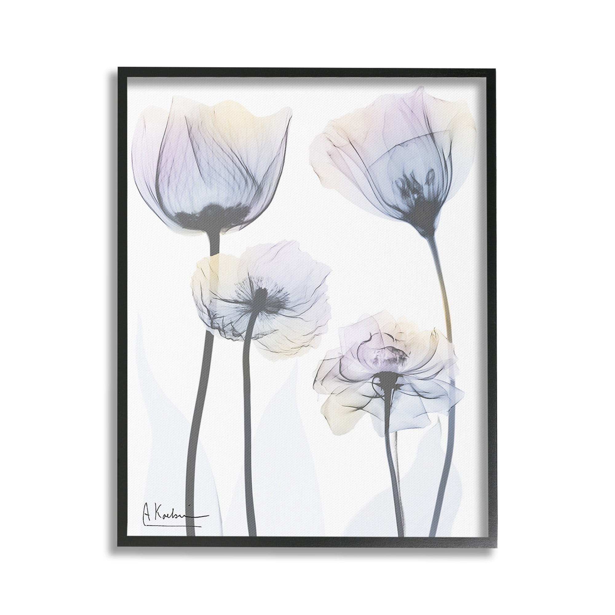 Stupell Industries Subtle Flower Shapes Botanical & Floral Photography Black Framed Art Print Wall Art, 16 x 20