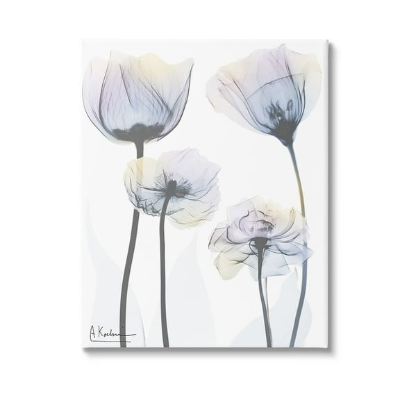 Stupell Industries Subtle Flower Shapes Botanical & Floral Photography Gallery Wrapped Canvas Art Print Wall Art, 16 x 20