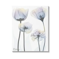 Stupell Industries Subtle Flower Shapes Botanical & Floral Photography Gallery Wrapped Canvas Art Print Wall Art, 16 x 20
