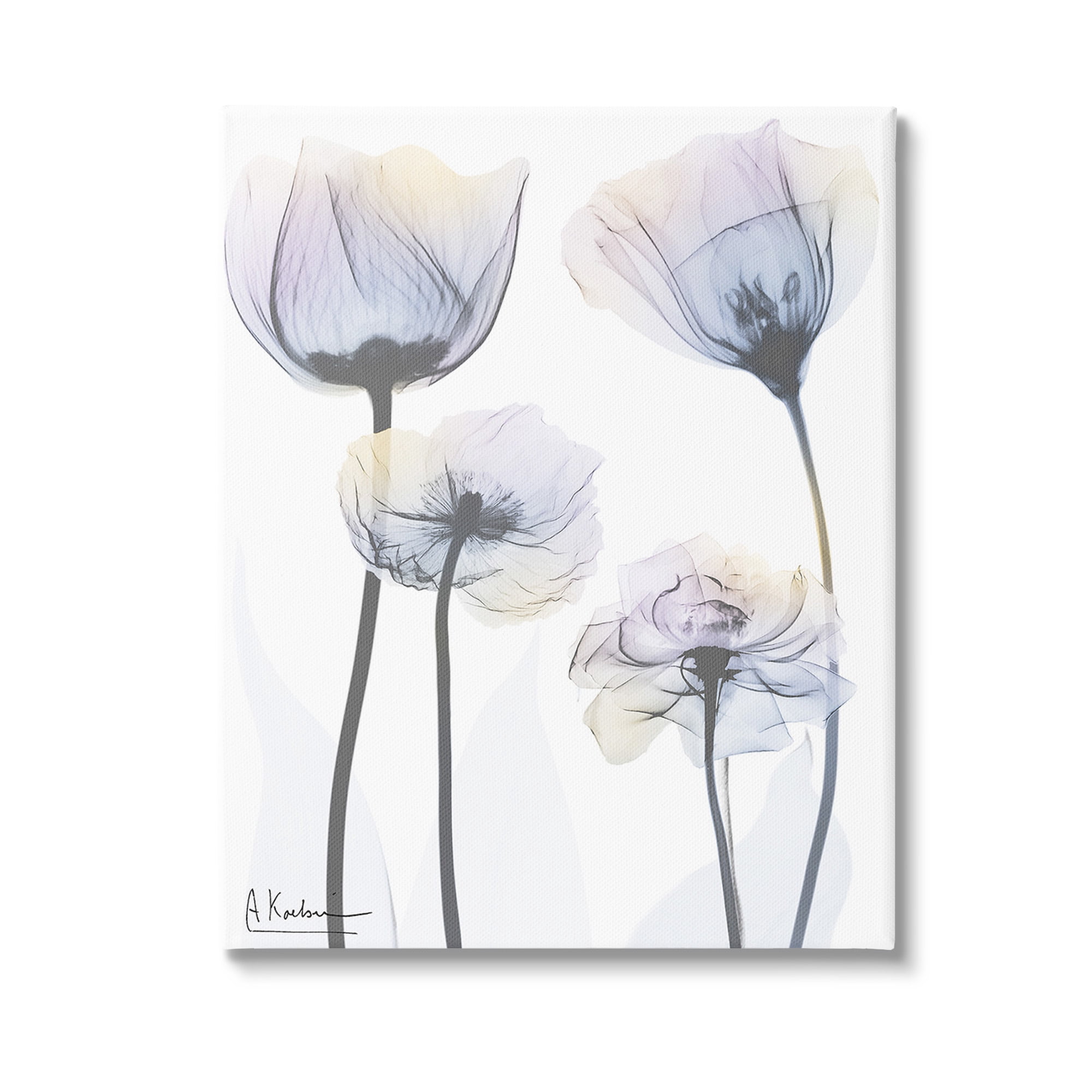 Stupell Industries Subtle Flower Shapes Botanical & Floral Photography Gallery Wrapped Canvas Art Print Wall Art, 30 x 40