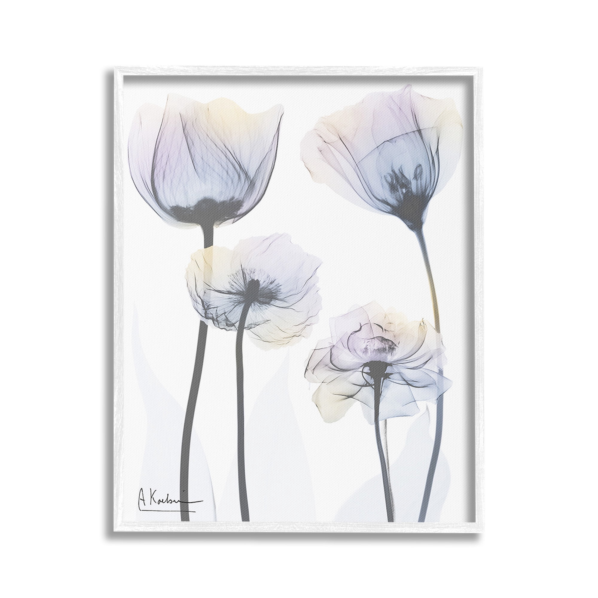 Stupell Industries Subtle Flower Shapes Botanical & Floral Photography White Framed Art Print Wall Art, 16 x 20