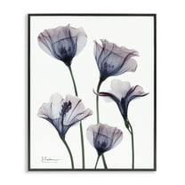 Stupell Industries Subtle Fresh Flowers Floral Photography Black Framed Art Print Wall Art, 11 x 14