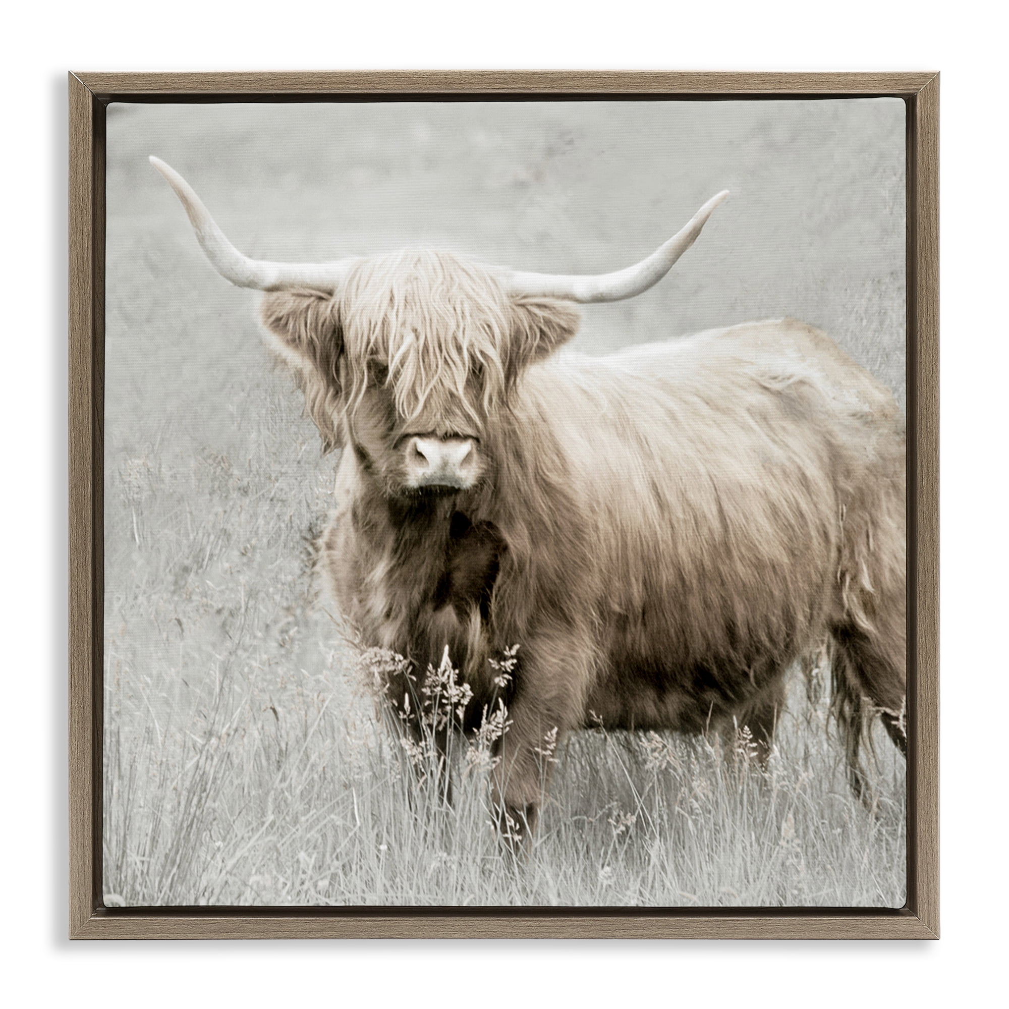 Stupell Industries Subtle Longhorn Cattle Animals & Insects Painting Brown Floater Framed Canvas Art Print Wall Art, 18 x 18