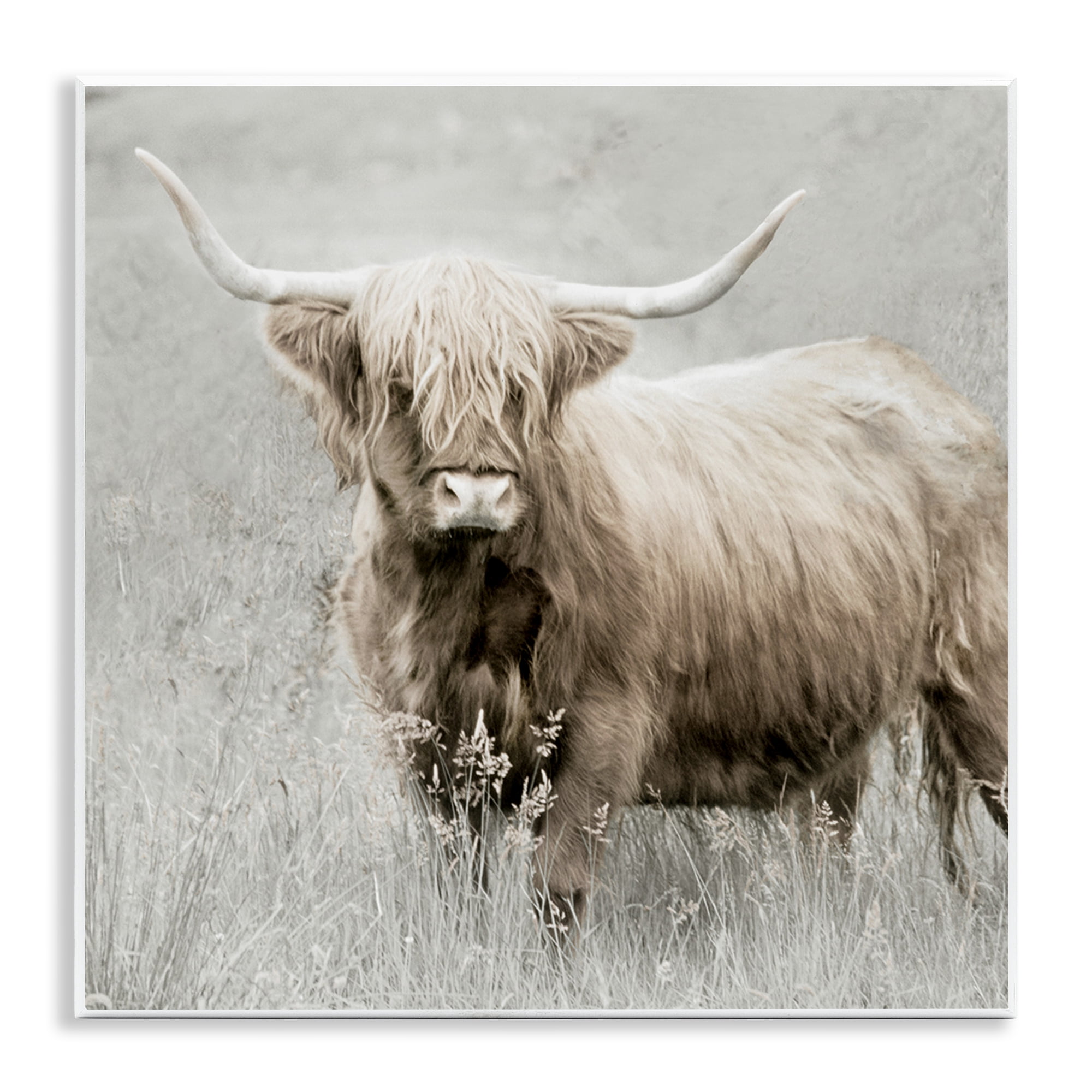Stupell Industries Subtle Longhorn Cattle Animals & Insects Painting Unframed Art Print Wall Art, 12 x 12