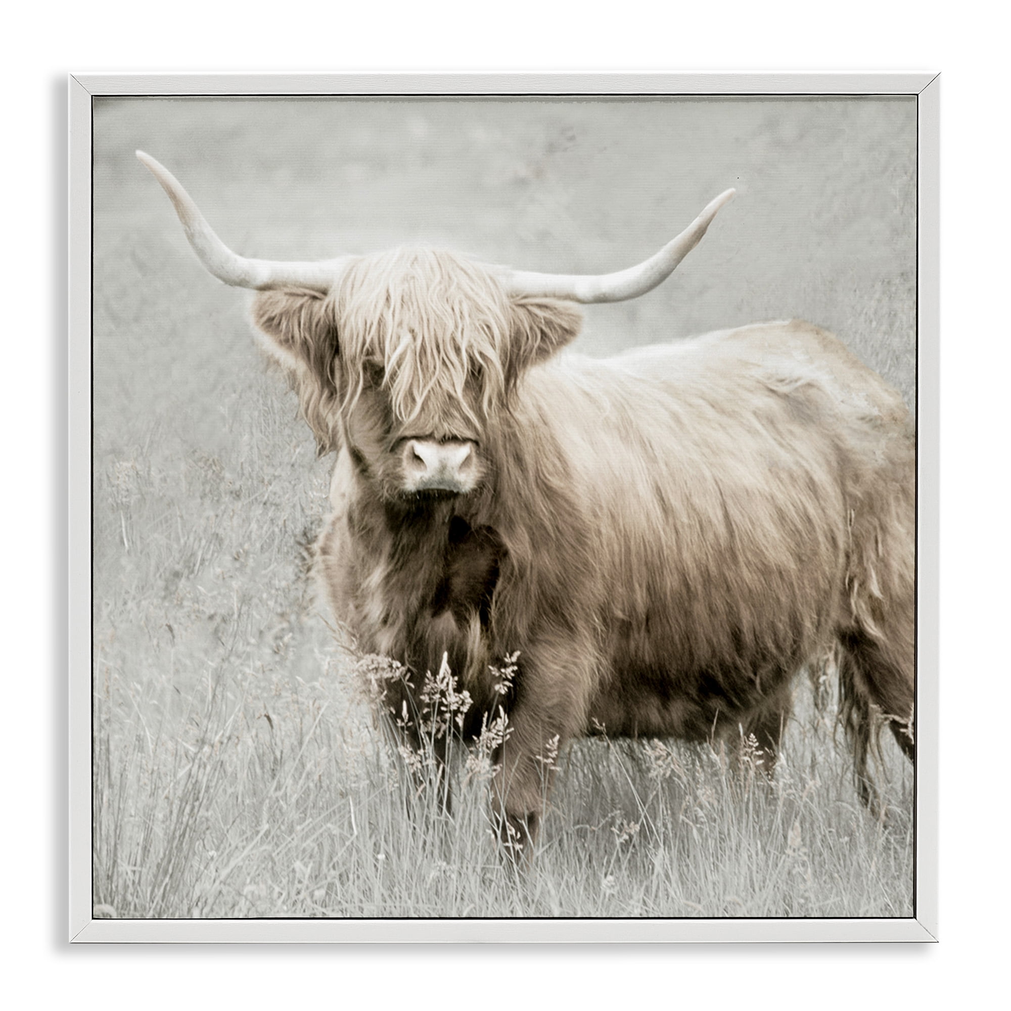 Stupell Industries Subtle Longhorn Cattle Animals & Insects Painting White Framed Art Print Wall Art, 24 x 24
