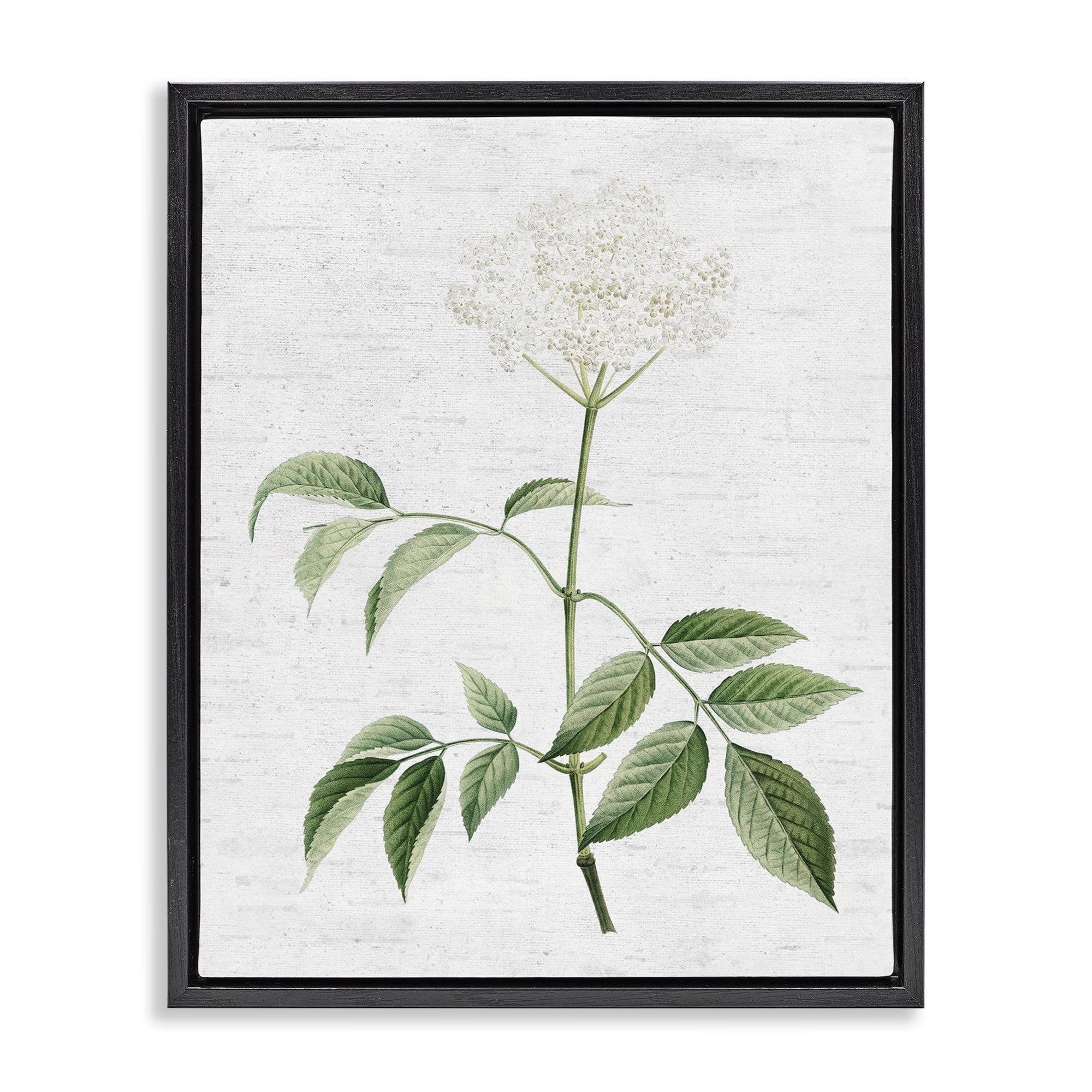 Stupell Industries Subtle Neutral Flower Botanical & Floral Painting Black Floater Framed Art Print Wall Art, 25 x 31