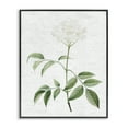 thumbnail image 1 of Stupell Industries Subtle Neutral Flower Botanical & Floral Painting Black Framed Art Print Wall Art, 16 x 20, 1 of 2