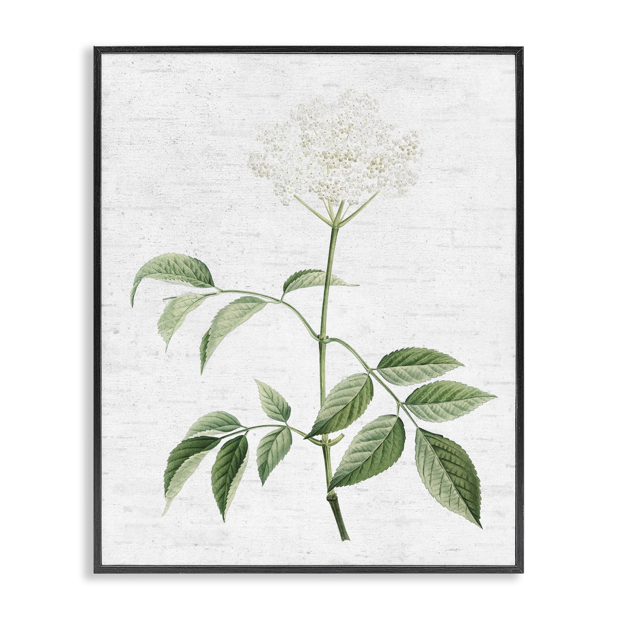 Stupell Industries Subtle Neutral Flower Botanical & Floral Painting Black Framed Art Print Wall Art, 24 x 30