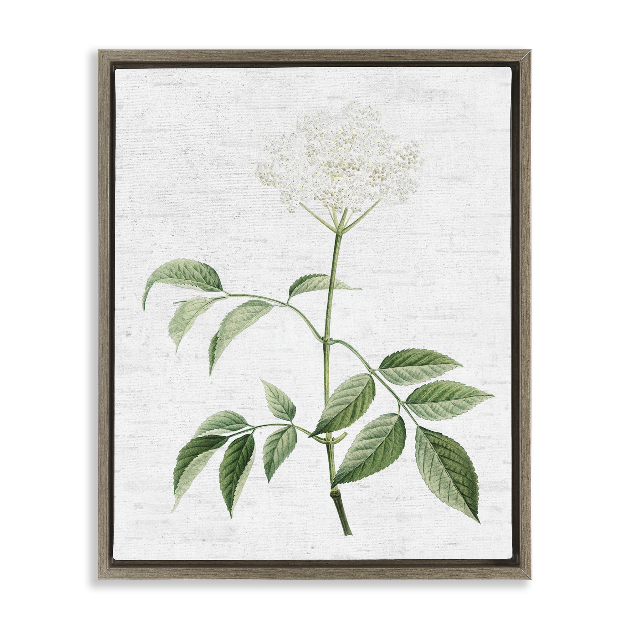 Stupell Industries Subtle Neutral Flower Botanical & Floral Painting Brown Floater Framed Art Print Wall Art, 25 x 31