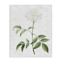 Stupell Industries Subtle Neutral Flower Botanical & Floral Painting Gallery Wrapped Canvas Art Print Wall Art, 16 x 20