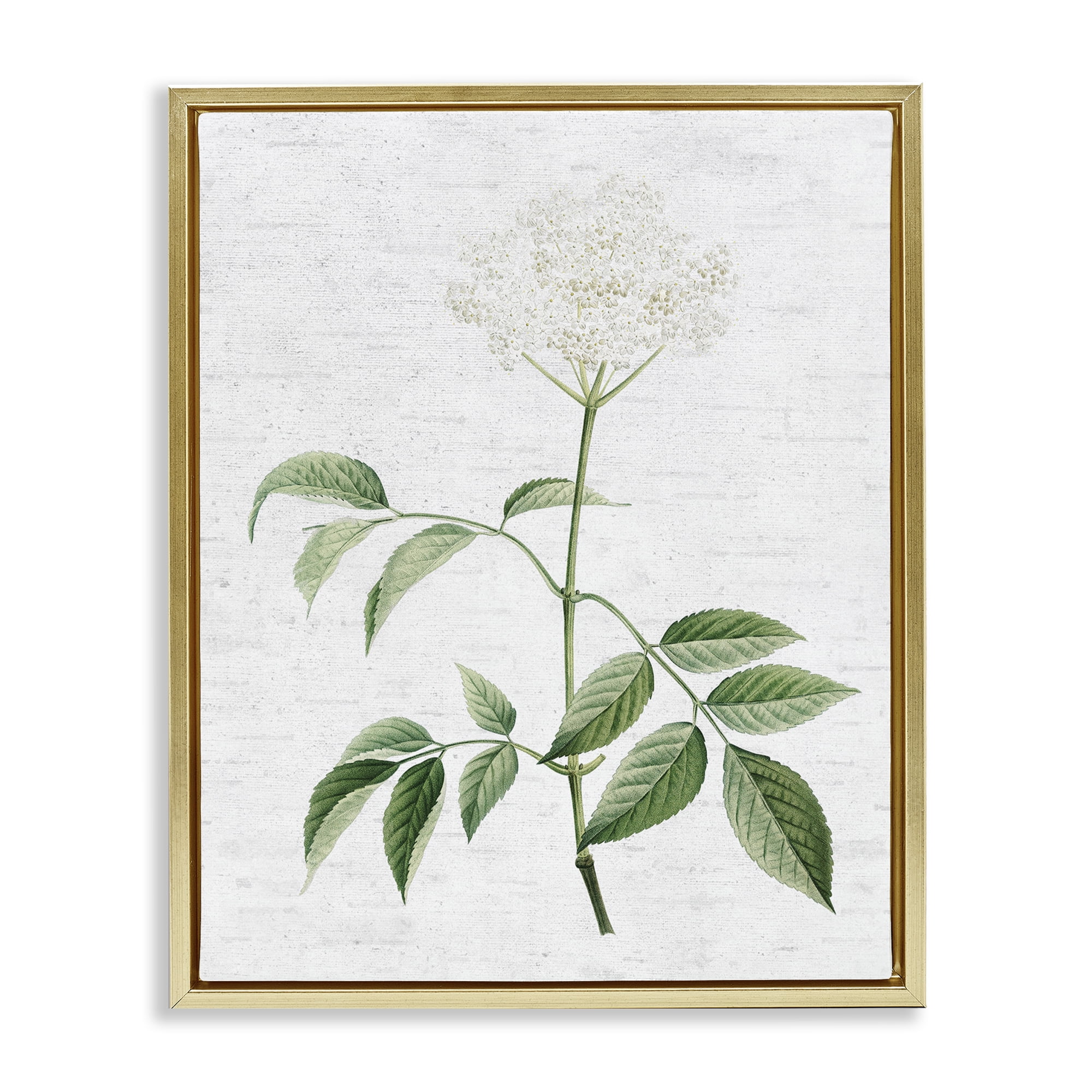 Stupell Industries Subtle Neutral Flower Botanical & Floral Painting Gold Floater Framed Art Print Wall Art, 17 x 21