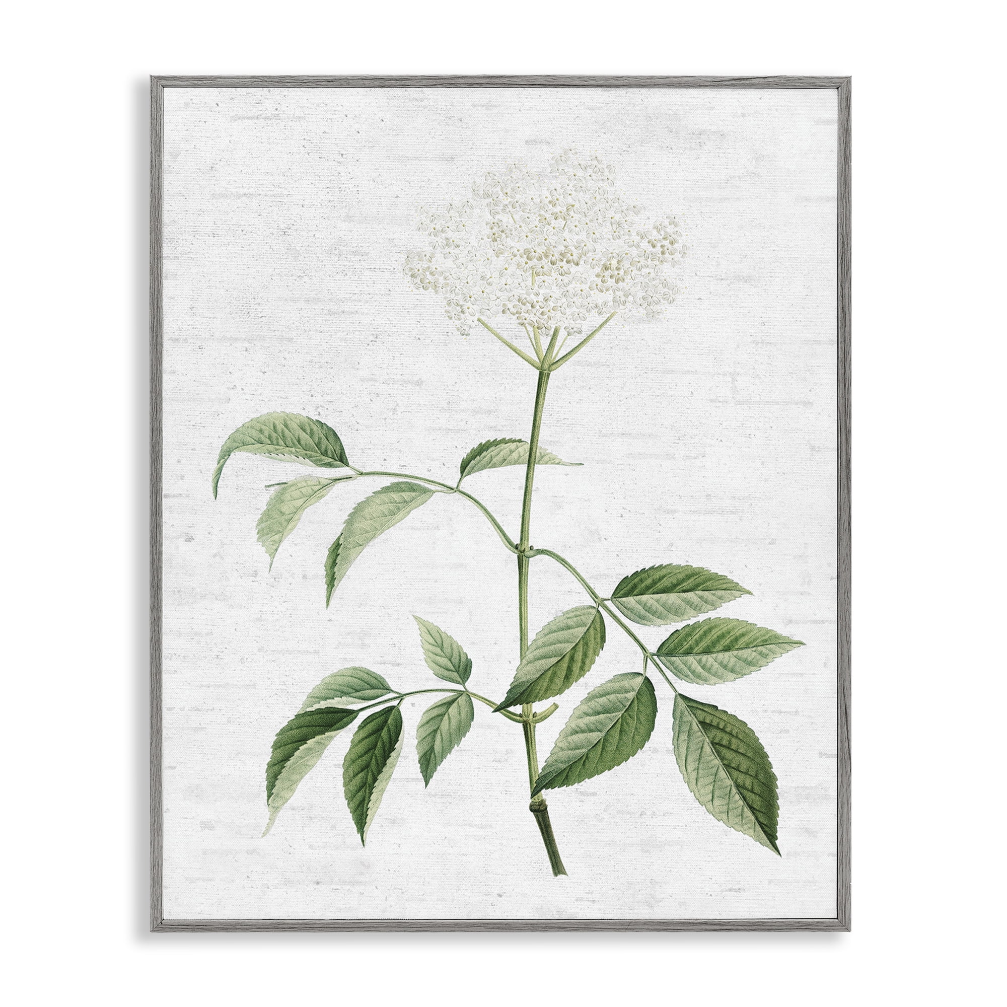 Stupell Industries Subtle Neutral Flower Botanical & Floral Painting Gray Framed Art Print Wall Art, 24 x 30