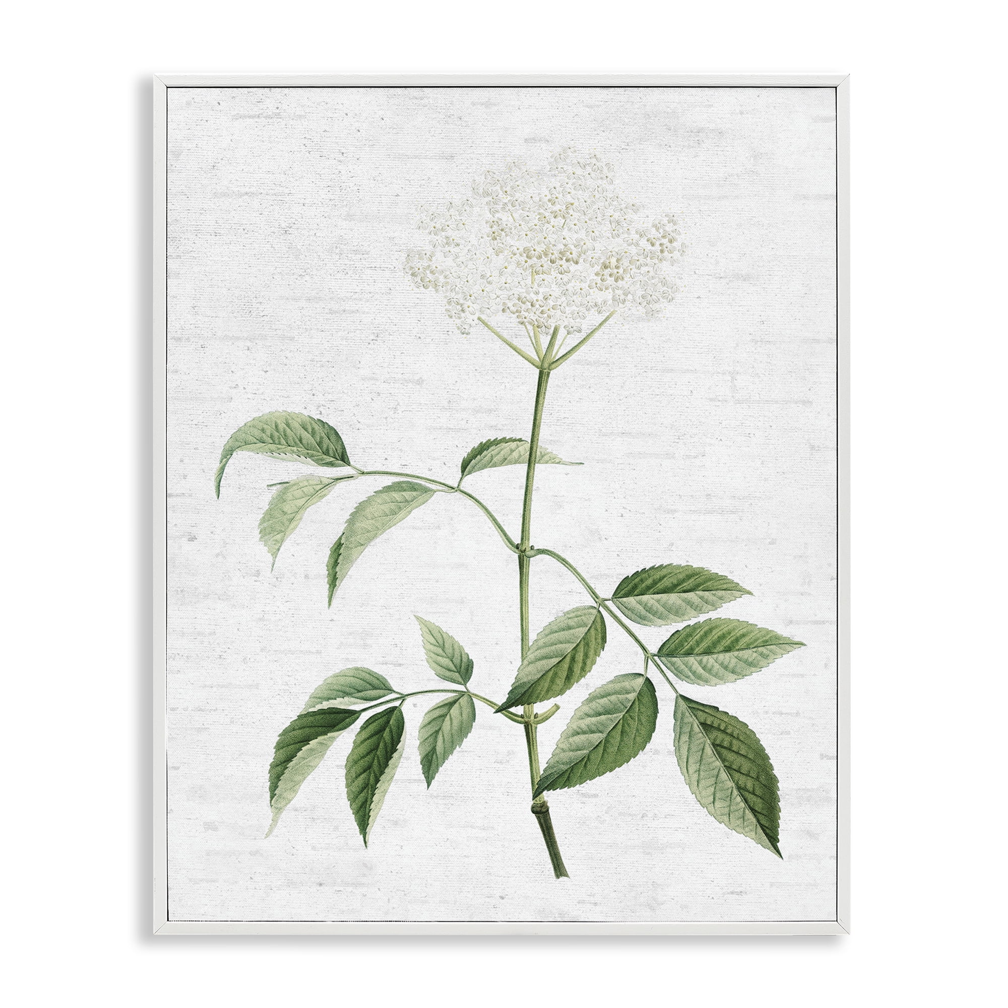 Stupell Industries Subtle Neutral Flower Botanical & Floral Painting White Framed Art Print Wall Art, 11 x 14