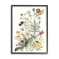 thumbnail image 1 of Stupell Industries Subtle Spring Blossoms Botanical & Floral Painting Black Framed Art Print Wall Art, 11 x 14, 1 of 9