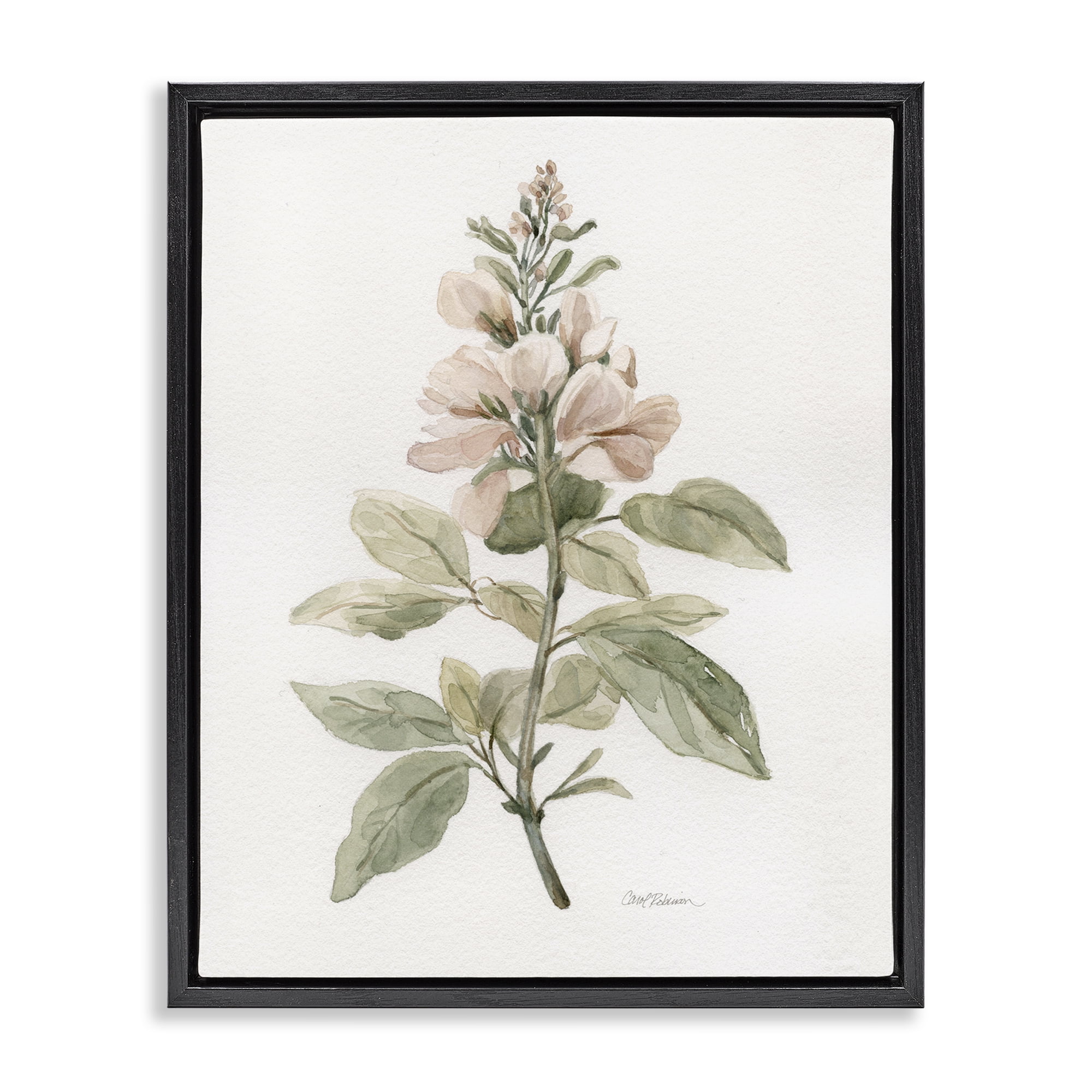 Stupell Industries Subtle Watercolor Botanicals Plants & Flowers Painting Black Floater Framed Canvas Art Print Wall Art, 25 x 31
