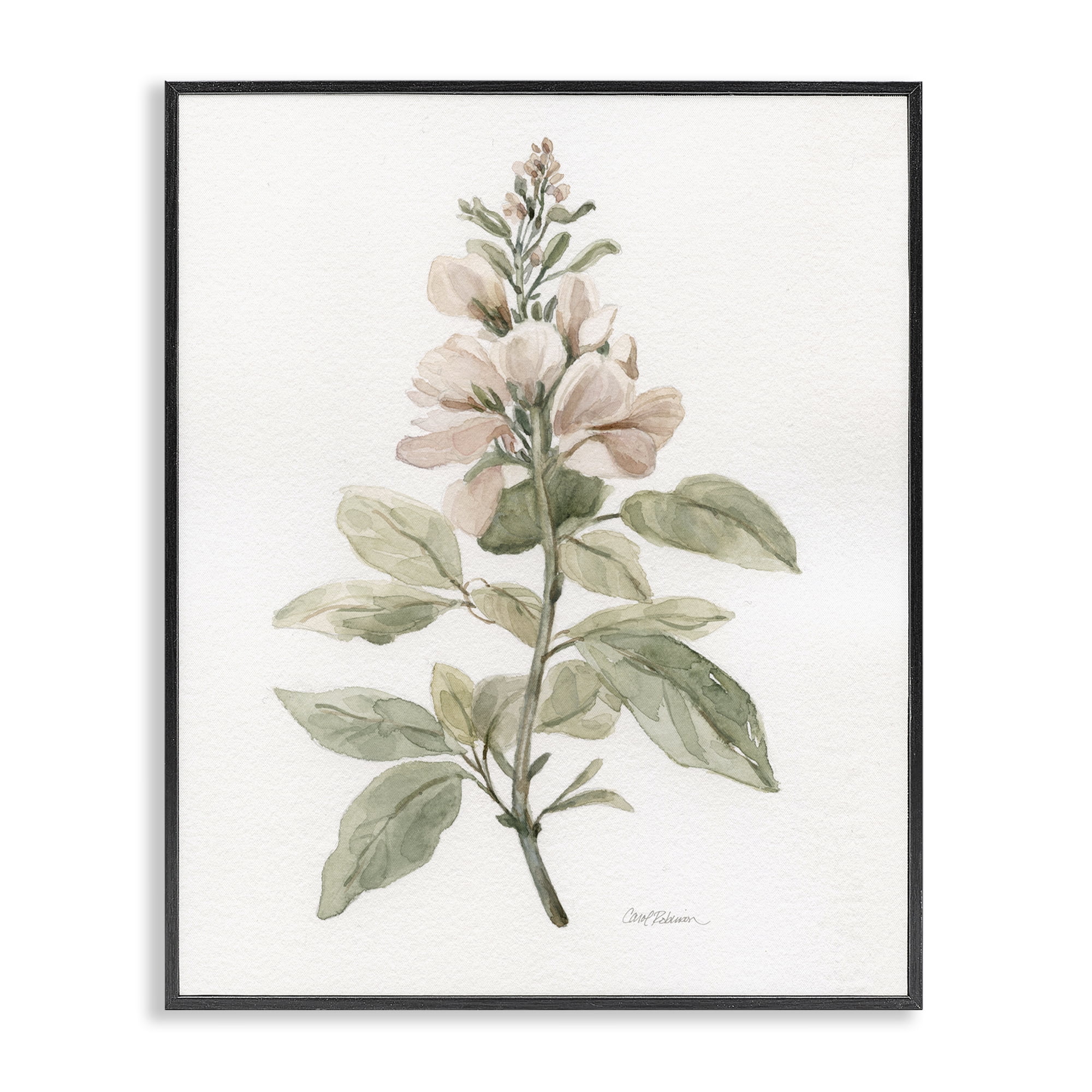 Stupell Industries Subtle Watercolor Botanicals Plants & Flowers Painting Black Framed Art Print Wall Art, 11 x 14