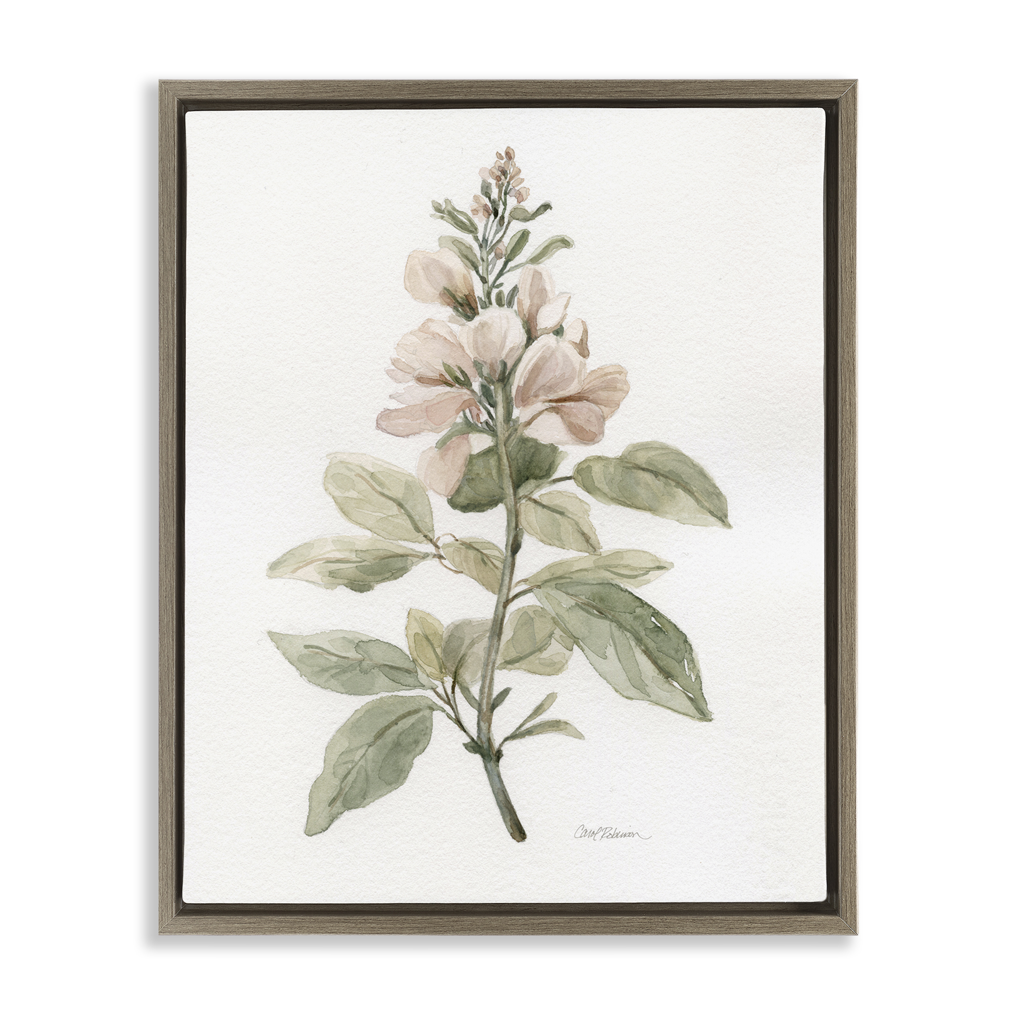 Stupell Industries Subtle Watercolor Botanicals Plants & Flowers Painting Brown Floater Framed Canvas Art Print Wall Art, 25 x 31