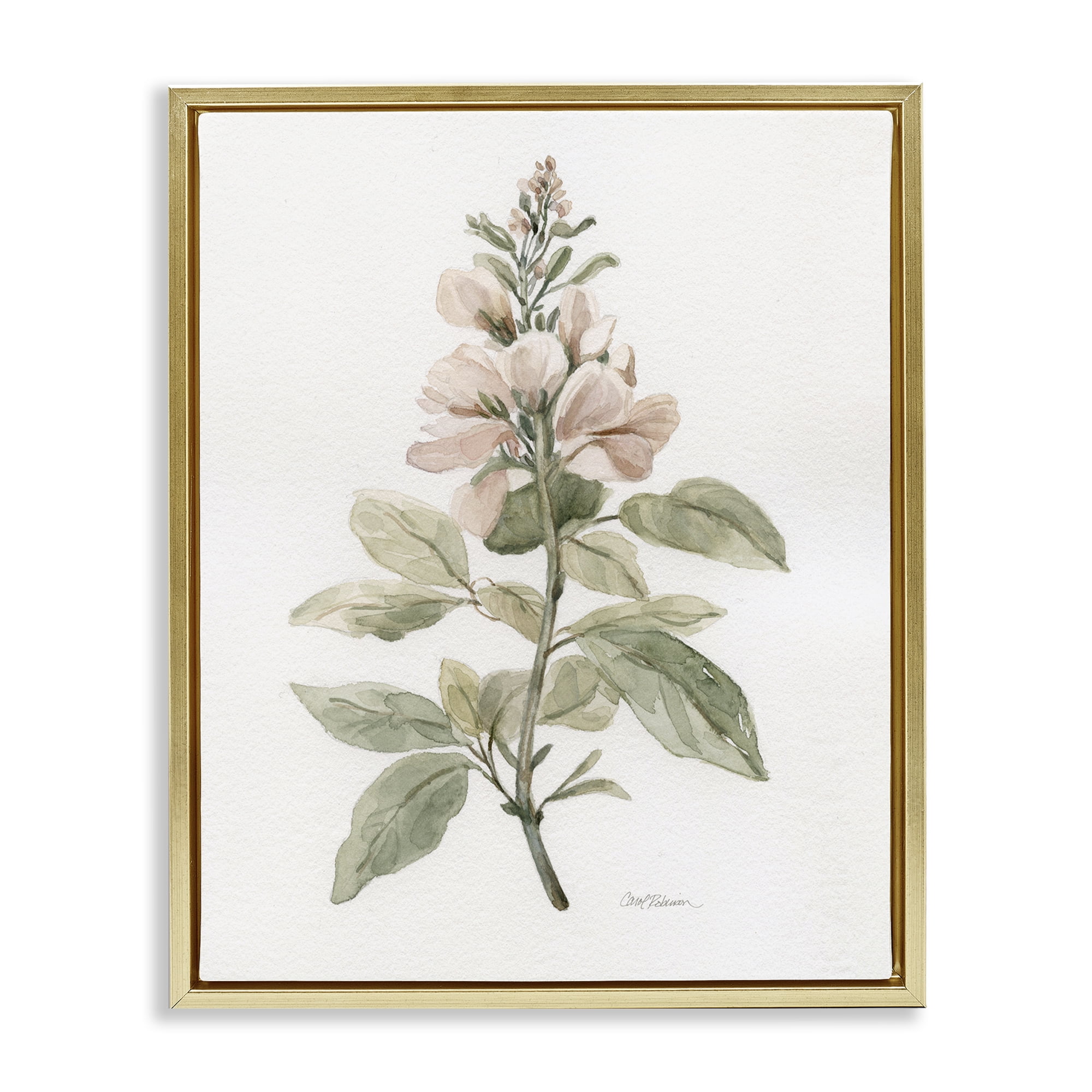 Stupell Industries Subtle Watercolor Botanicals Plants & Flowers Painting Gold Floater Framed Canvas Art Print Wall Art, 25 x 31