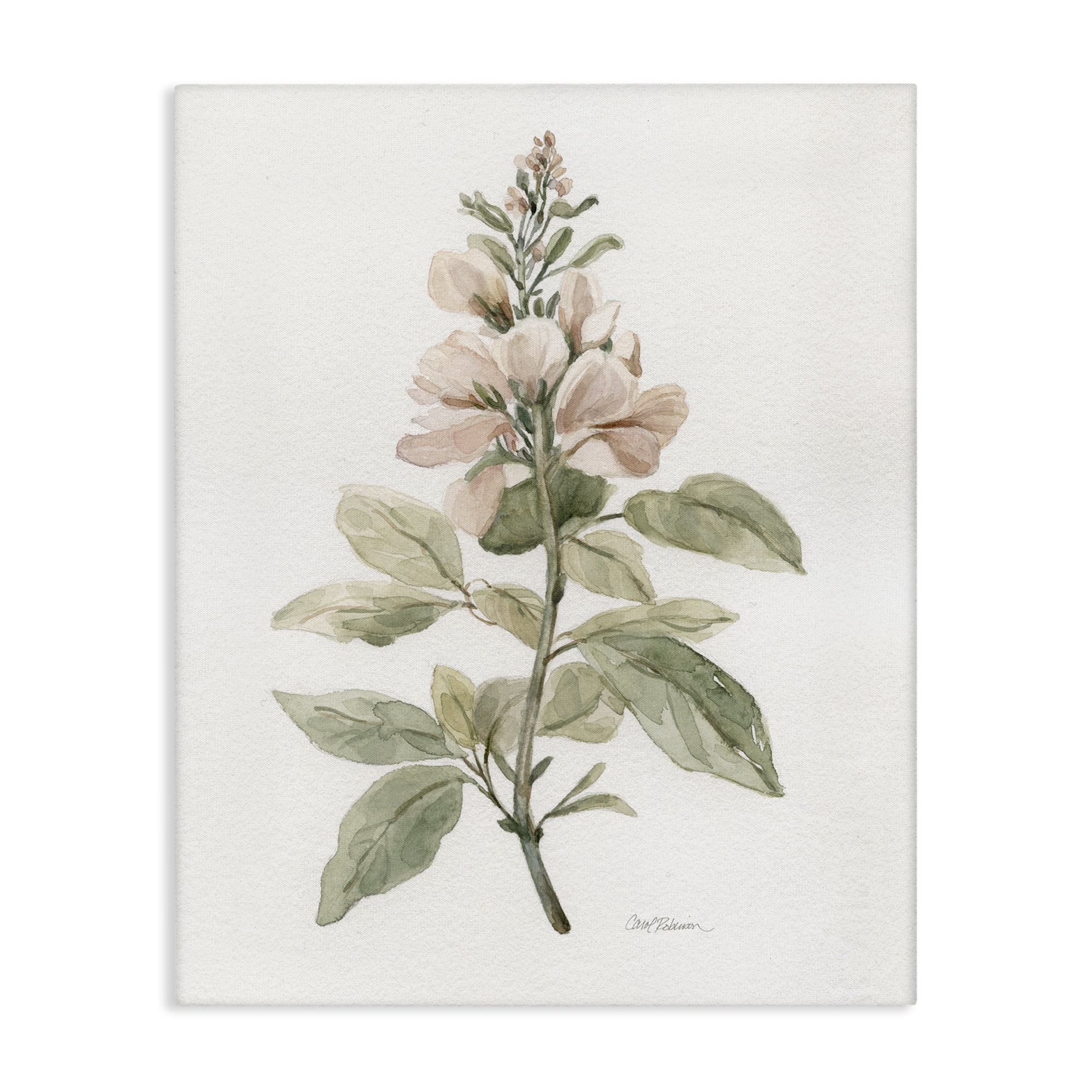 Stupell Industries Subtle Watercolor Botanicals Plants & Flowers Painting Wrapped Canvas Art Print Wall Art, 24 x 30