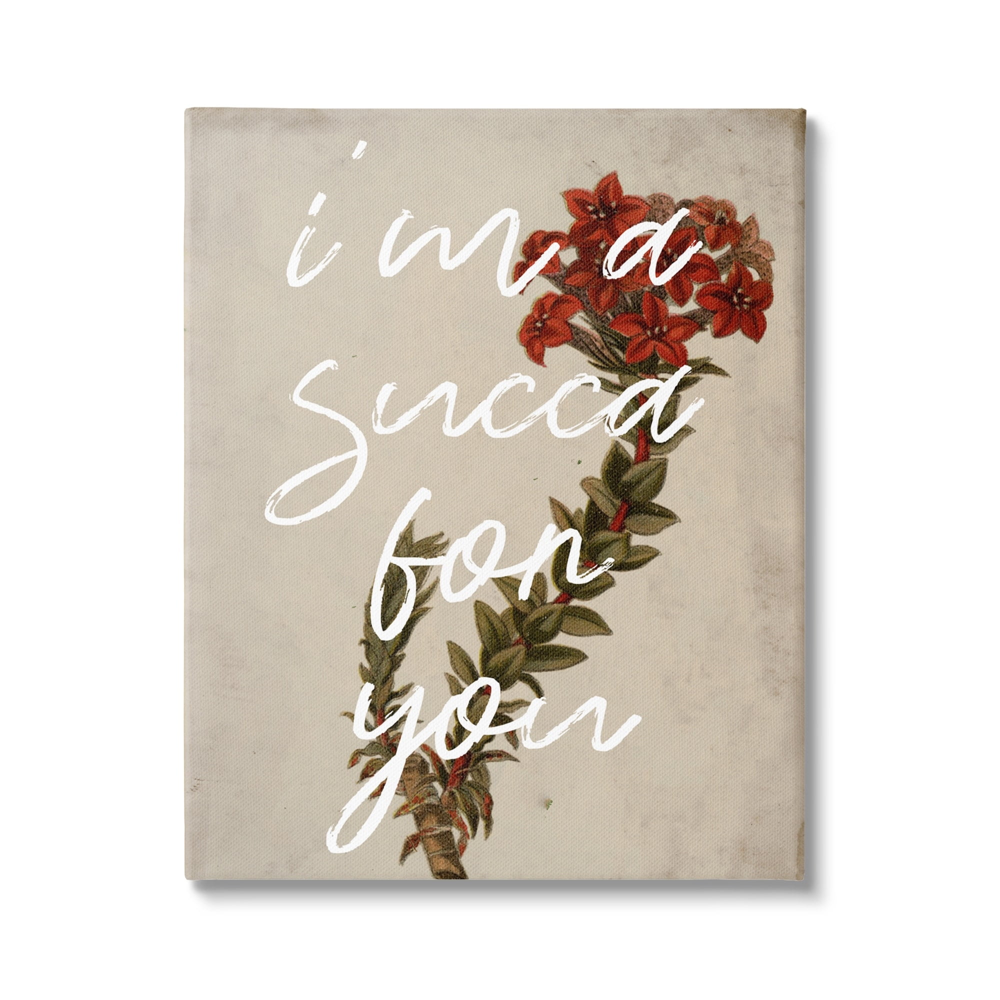 Stupell Industries Succa For You Romantic Witty Plant Humor Phrase Canvas Wall Art, 24 x 30, Design by Lil' Rue