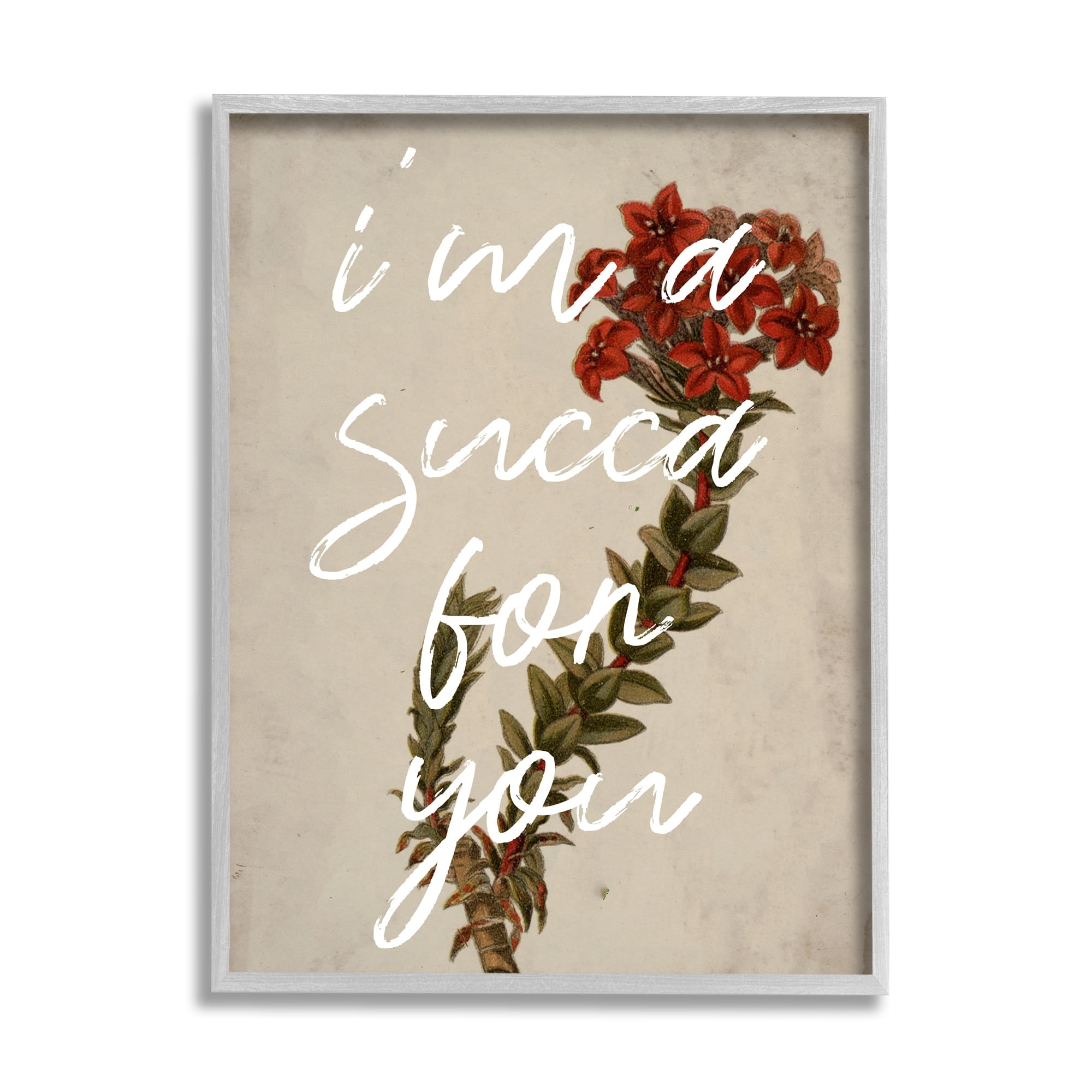 Stupell Industries Succa For You Romantic Witty Plant Humor Phrase Framed Wall Art, 16 x 20, Design by Lil' Rue