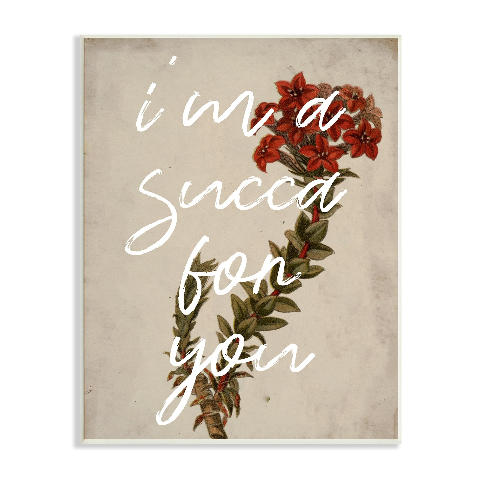 Stupell Industries Succa For You Romantic Witty Plant Humor Phrase Wood Wall Art, 13 x 19, Design by Lil' Rue