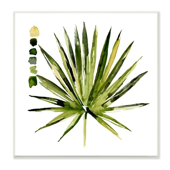 Stupell Industries Succulent Aloe Plant Spiky Leaves Abstract Paint Scale,12 x 12, Design by Jennifer Paxton Parker
