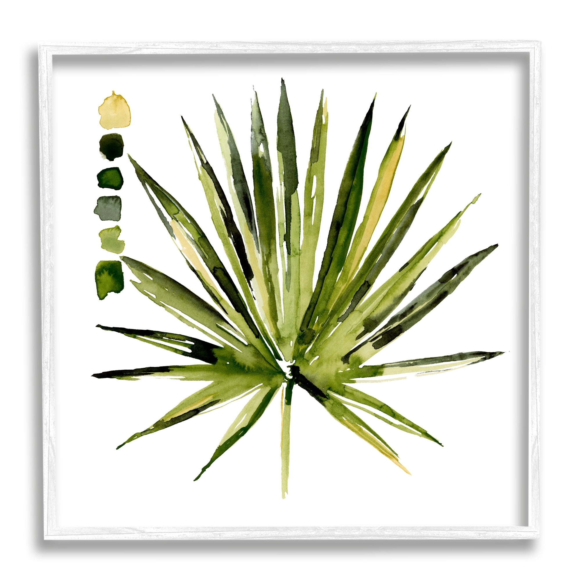 Stupell Industries Succulent Aloe Plant Spiky Leaves Abstract Paint Scale,12 x 12, Design by Jennifer Paxton Parker