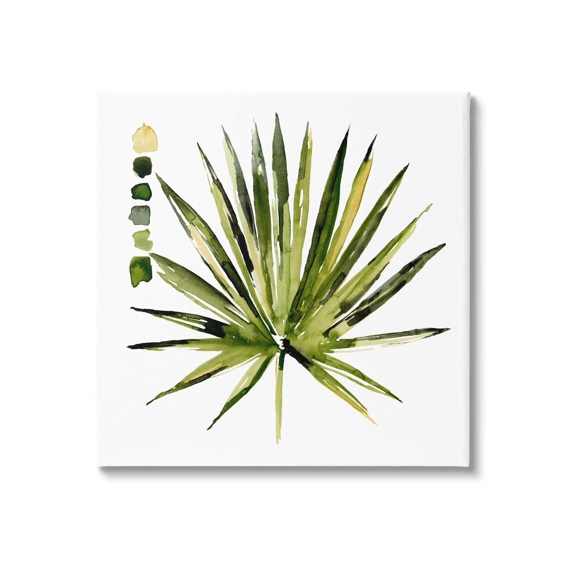 Stupell Industries Succulent Aloe Plant Spiky Leaves Abstract Paint Scale,17 x 17, Design by Jennifer Paxton Parker