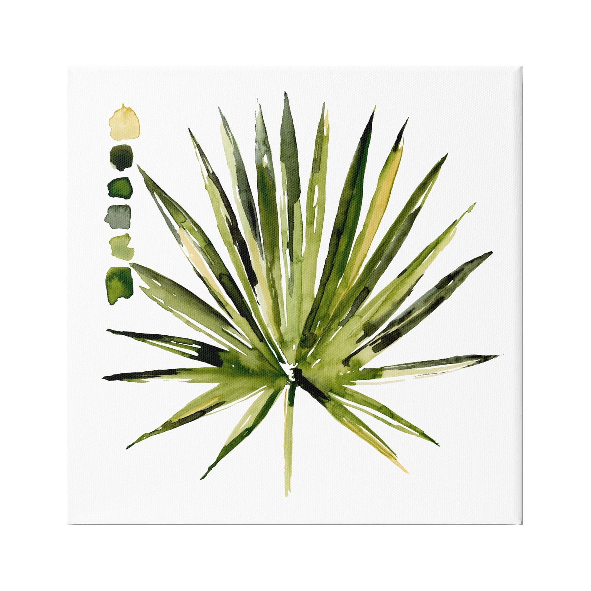 Stupell Industries Succulent Aloe Plant Spiky Leaves Abstract Paint Scale,30 x 30, Design by Jennifer Paxton Parker