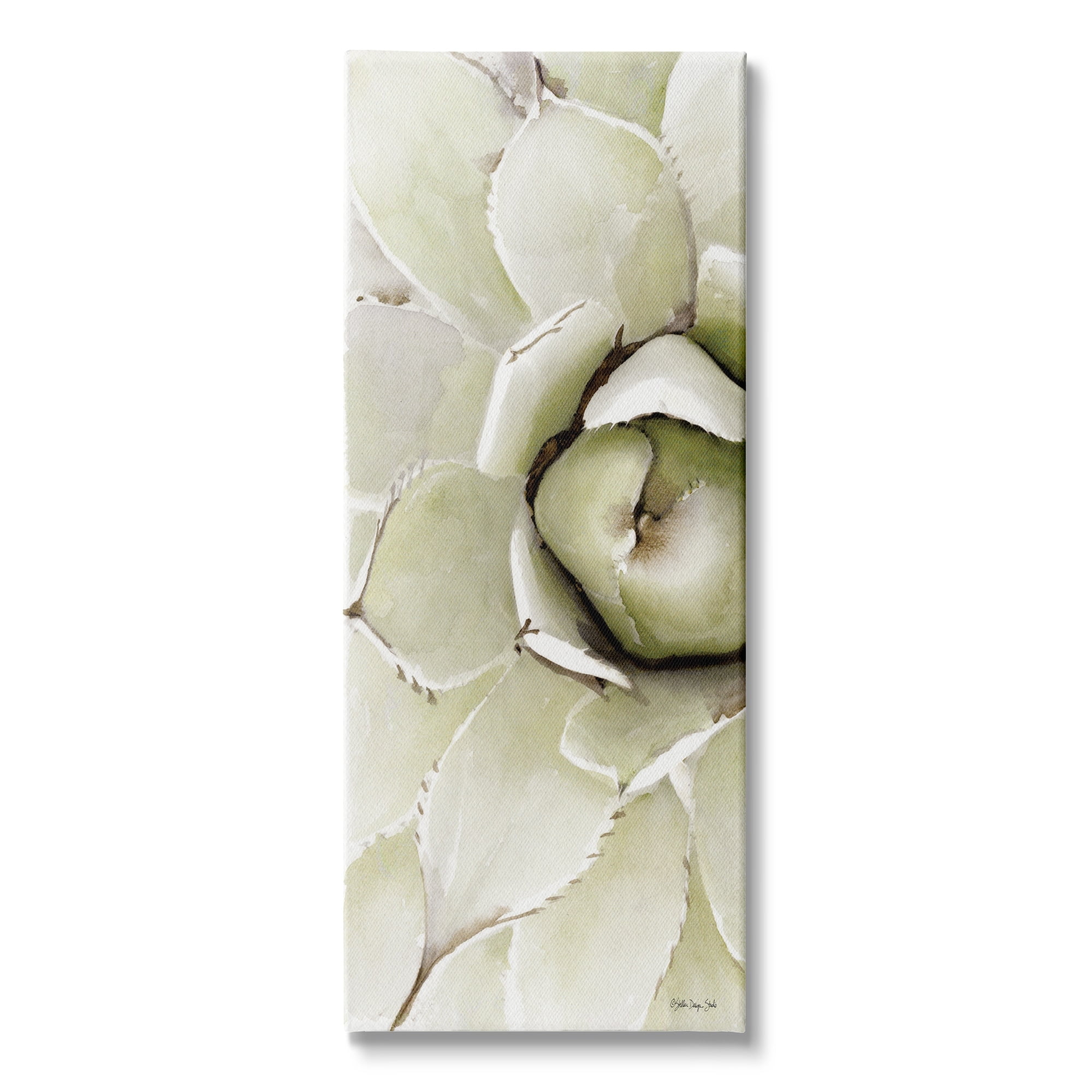 Stupell Industries Succulent Bulb Blossom Green Plant Modern Watercolor Painting, 13 x 30,Design by Stellar Design Studio
