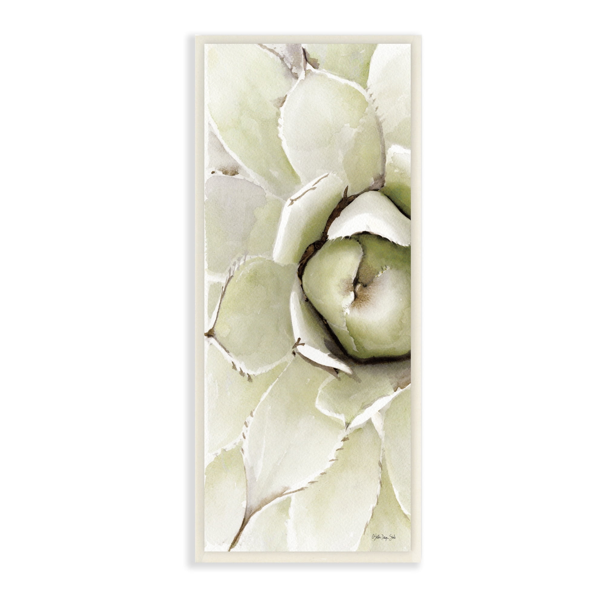 Stupell Industries Succulent Bulb Blossom Green Plant Modern Watercolor Painting, 7 x 17,Design by Stellar Design Studio
