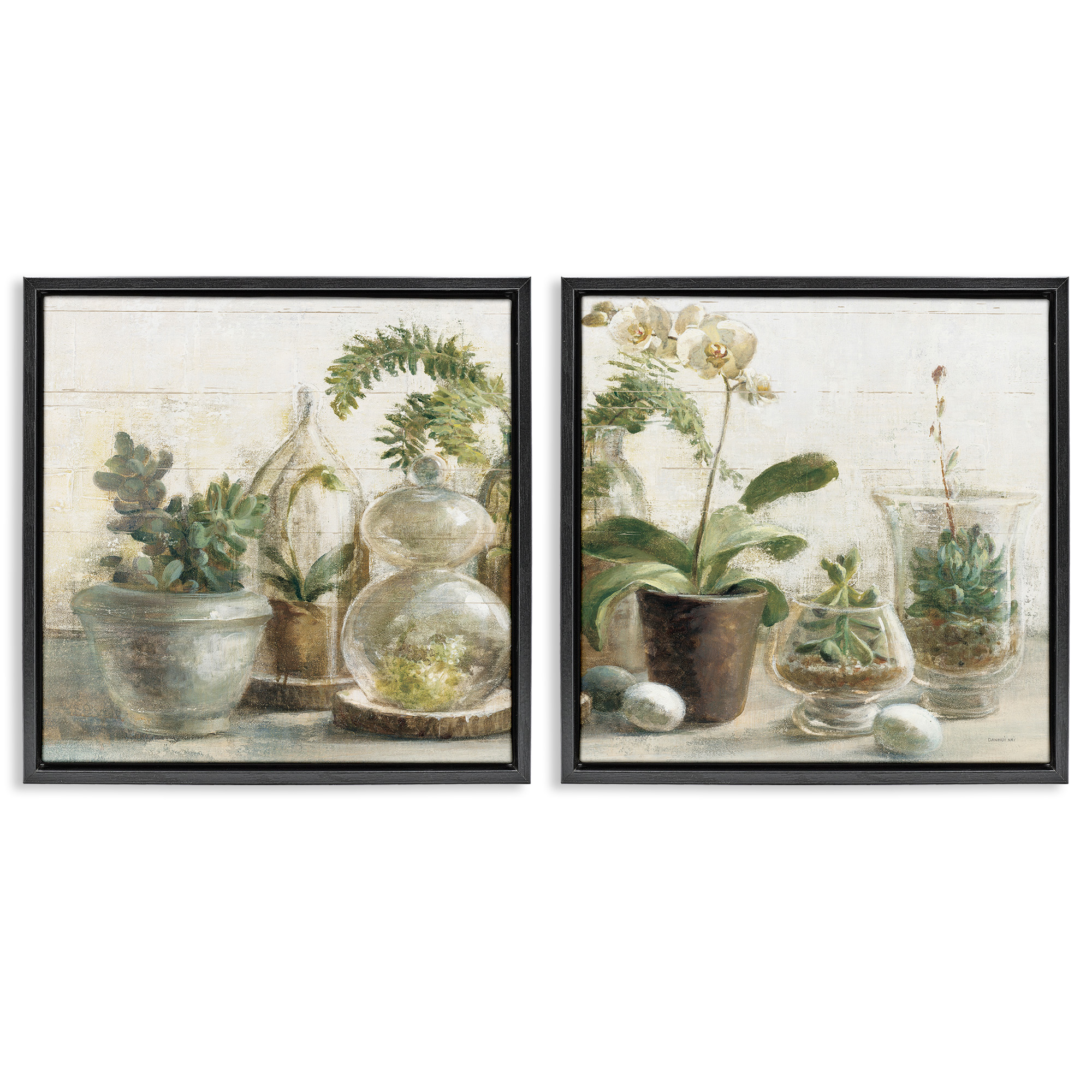 Stupell Industries Succulent House Plants Country Charm Botanical & Floral Painting Black Floater Framed Canvas Art Print Wall Art, 18 x 18, Set of 2
