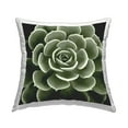 thumbnail image 1 of Stupell Industries Succulent Leaves Botanical Plant Square Decorative Printed Throw Pillow, 18 x 18,, 1 of 4
