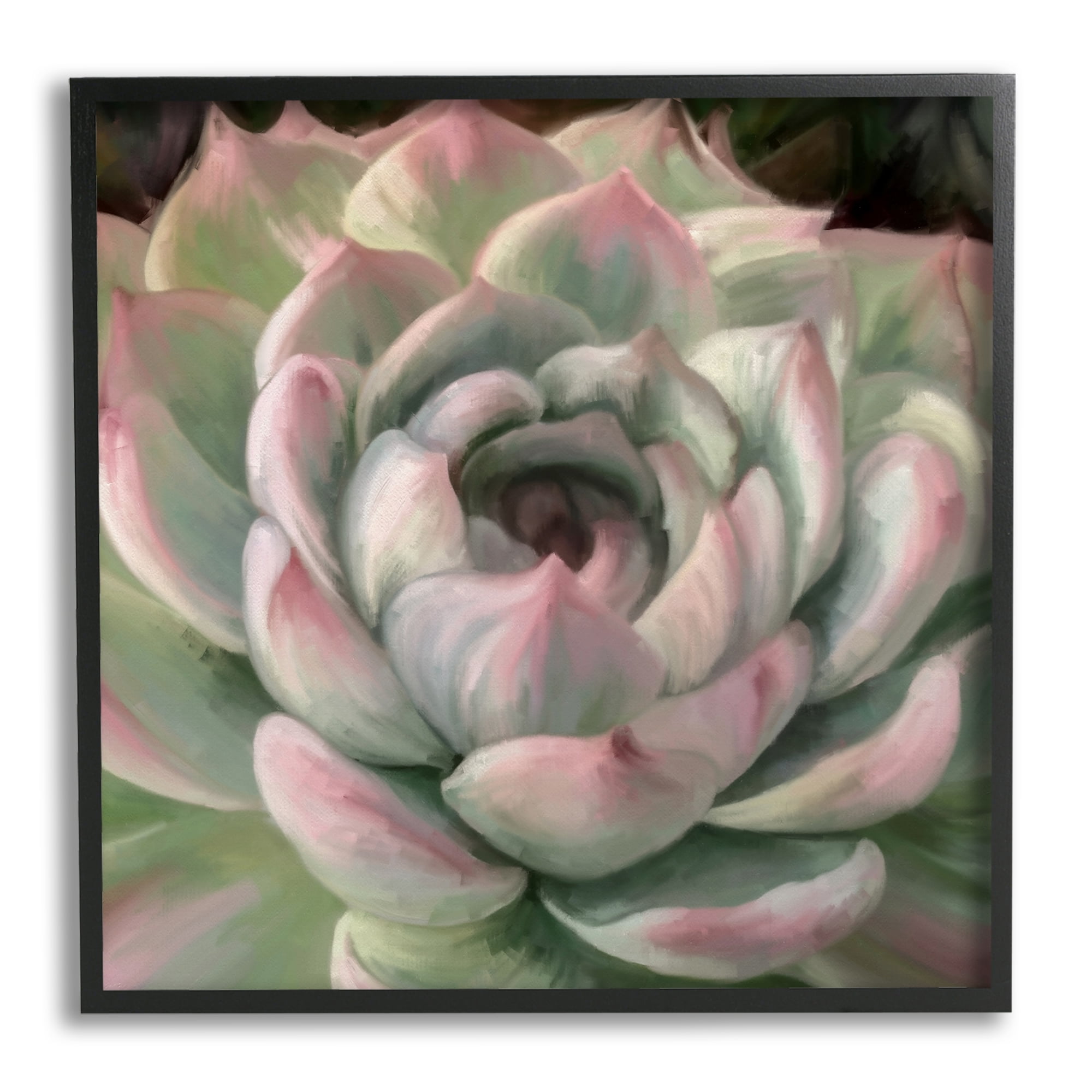 Stupell Industries Succulent Leaves Close Up Botanical & Floral Painting Black Framed Art Print Wall Art, 12 x 12