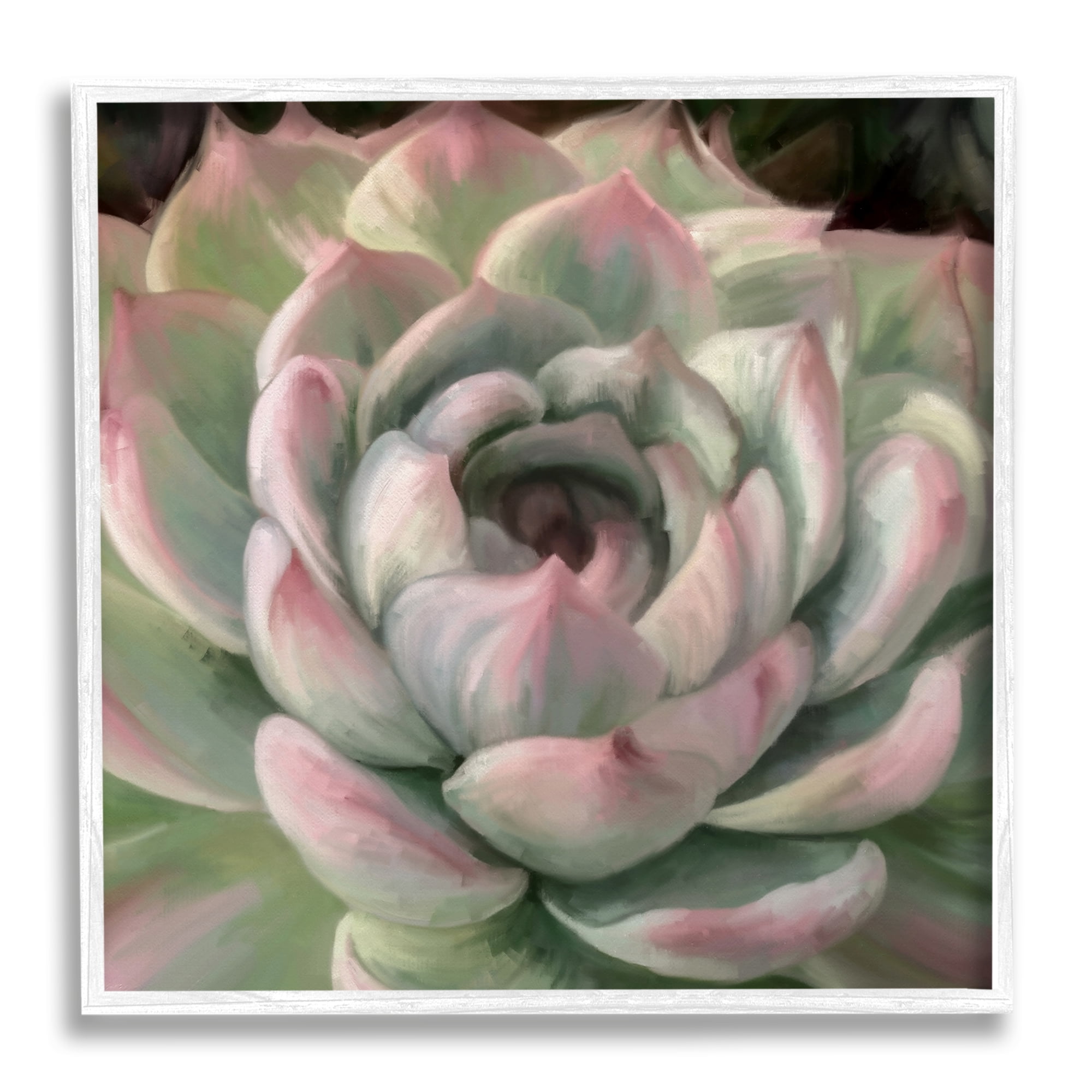 Stupell Industries Succulent Leaves Close Up Botanical & Floral Painting White Framed Art Print Wall Art, 12 x 12