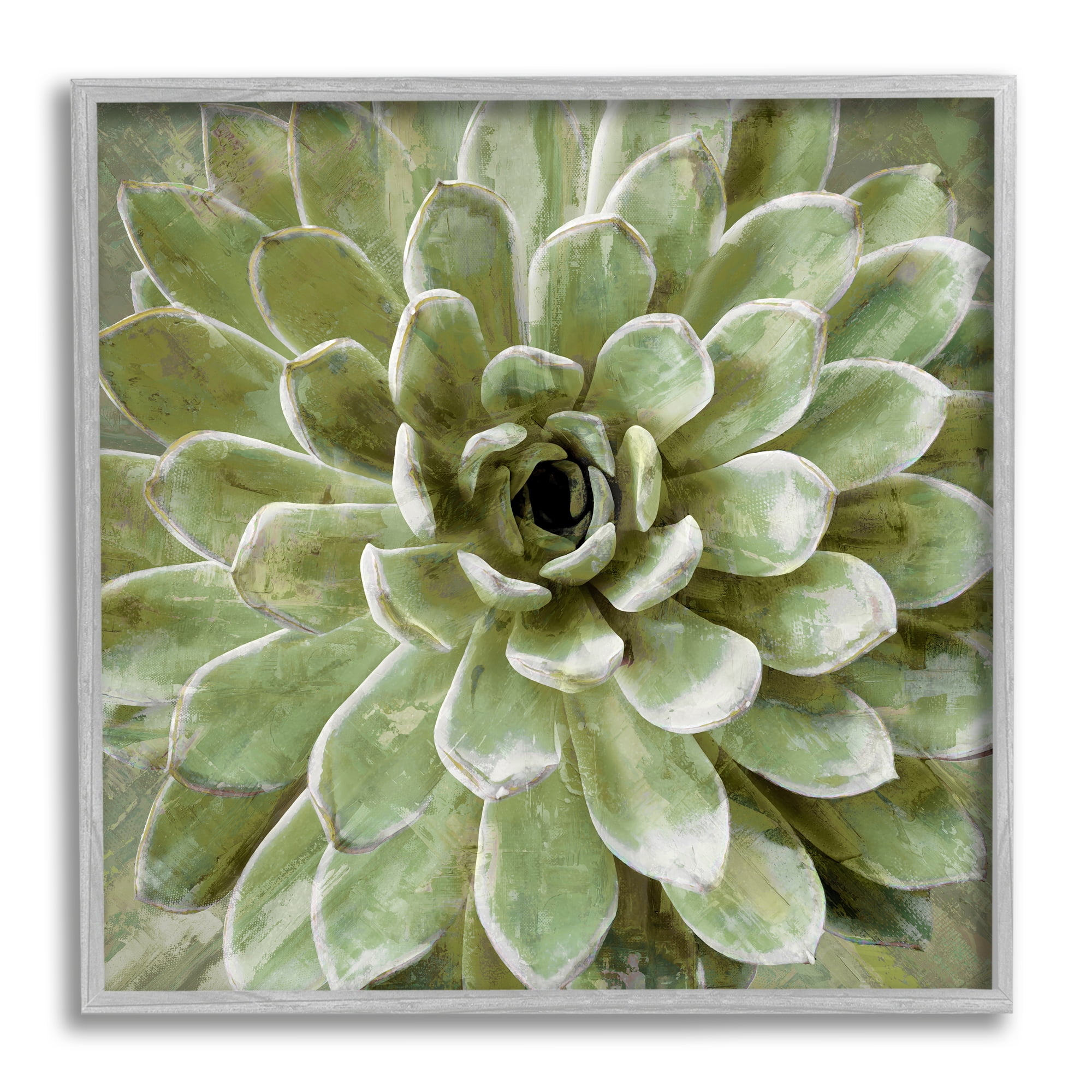 Stupell Industries Succulent Plant Abstract View Botanical & Floral Painting Gray Framed Art Print Wall Art