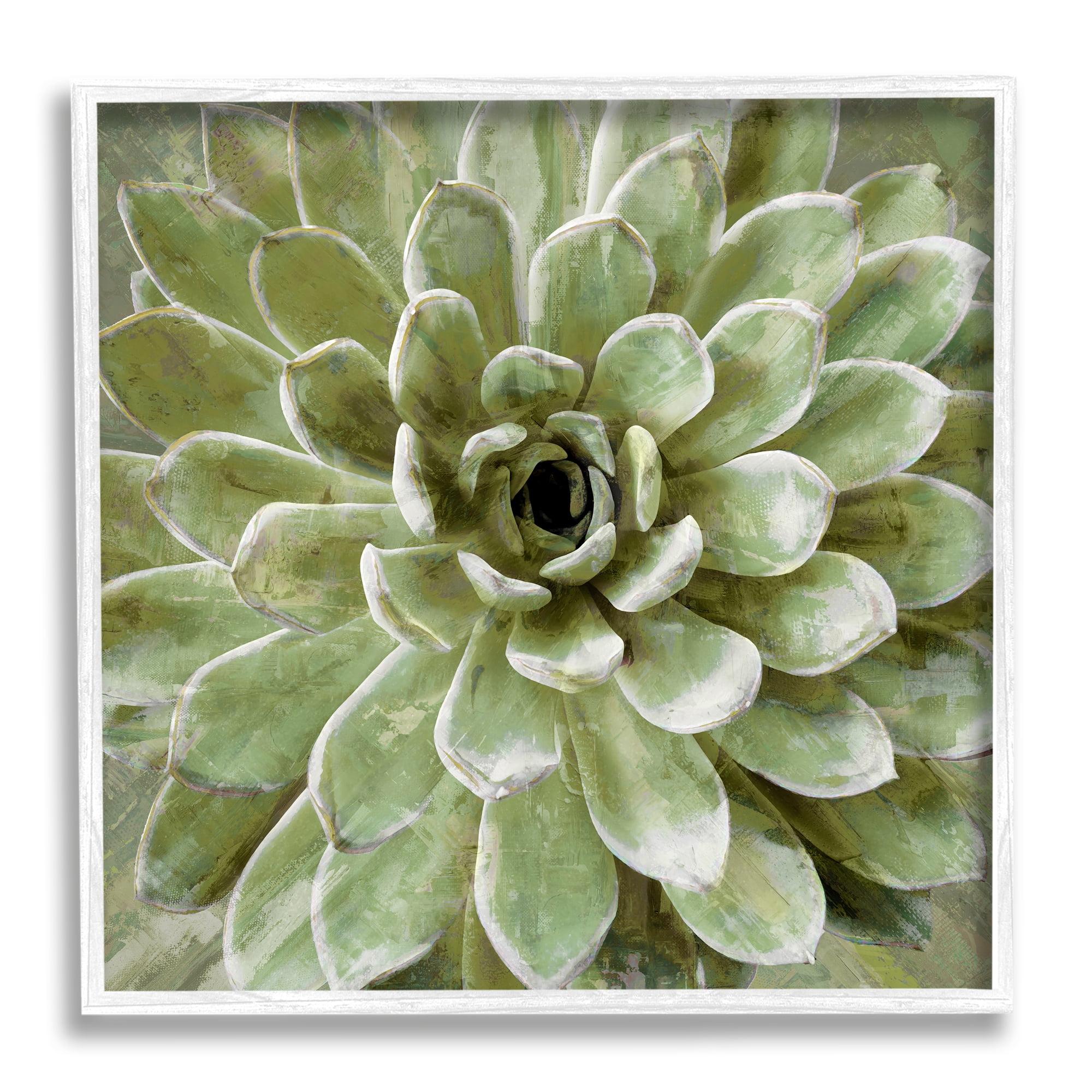 Stupell Industries Succulent Plant Abstract View Botanical & Floral Painting White Framed Art Print Wall Art