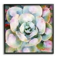 thumbnail image 1 of Stupell Industries Succulent Plant Bold Hues Botanical & Floral Painting Black Framed Art Print Wall Art, 1 of 7